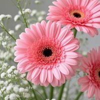 প্রোফাইল ছবি